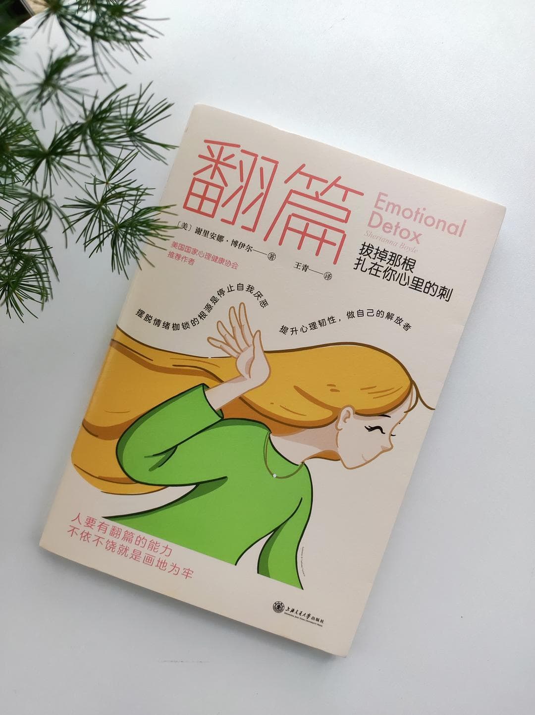 七步疗愈法：改善情绪，拔掉心里的那根刺