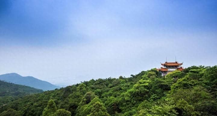 广东观音山国家森林公园：岭南明珠的自然人文之美