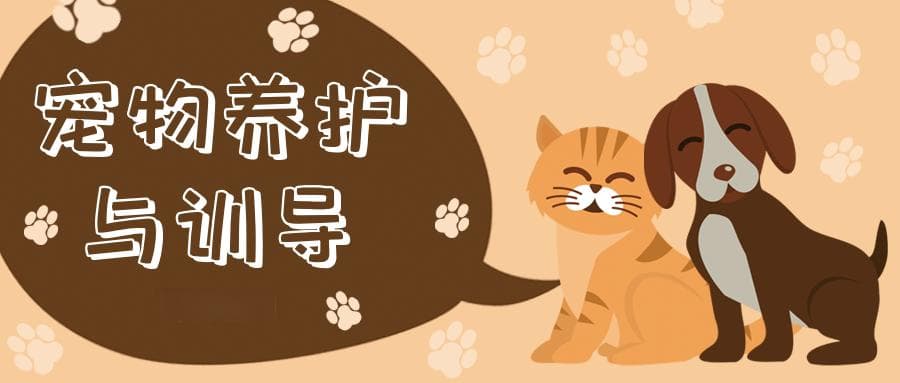 每天了解一个农学专业——宠物养护与训导专业