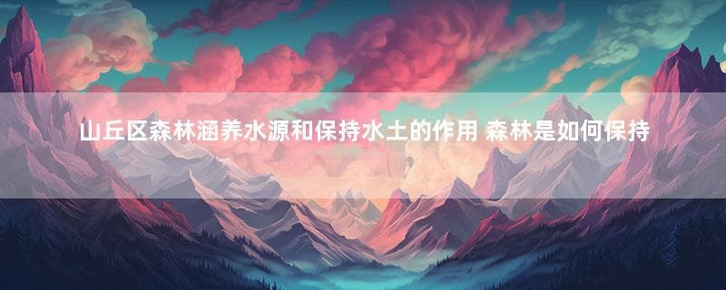 山丘区森林涵养水源和保持水土的作用