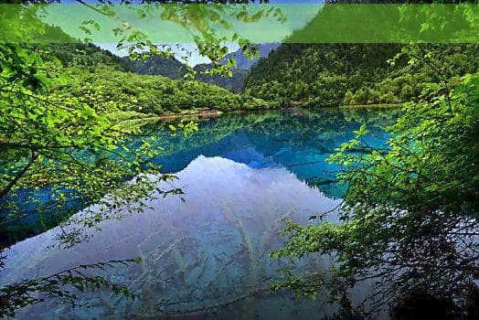 海南捡贝壳：最佳时间、地点攻略与携带规定一览