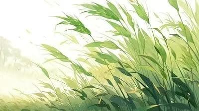 色彩疗法：用色彩点亮心灵之光
