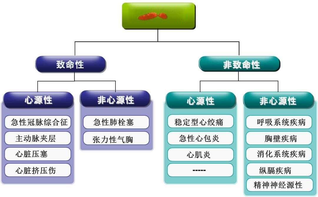 急性胸痛诊断思路、治疗原则，看最新指南怎么说