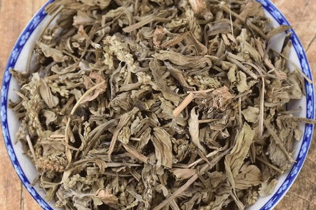 田灌草和车前草一样吗？车前草和车前子的区别