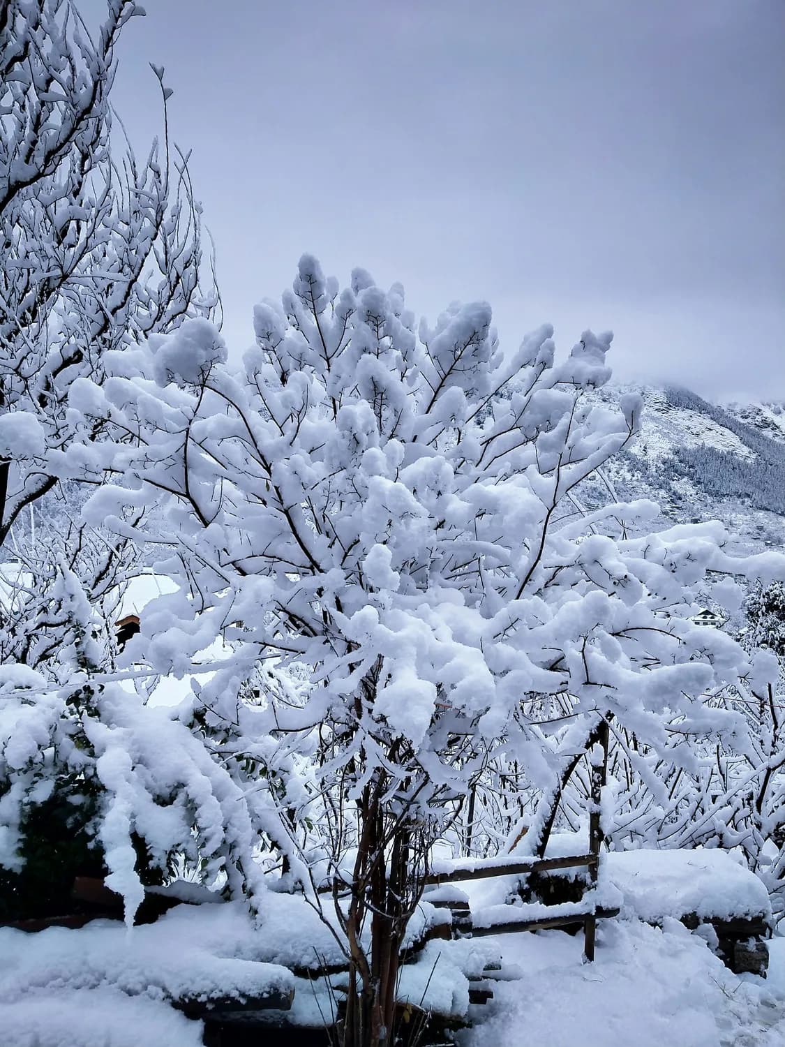 云南冬季旅游必备：如何应对早晚20度温差？