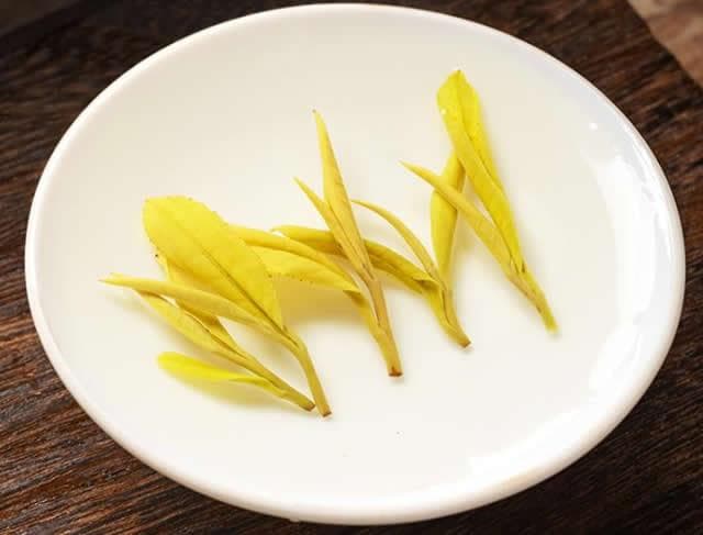 黄金芽属于什么茶 黄金芽茶叶的特点是什么