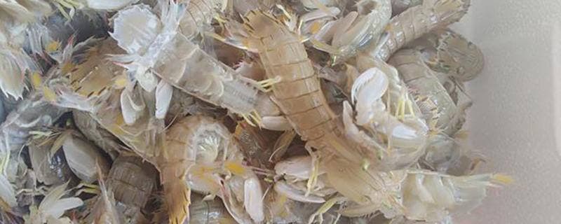 皮皮虾什么时候有膏？什么时候最肥？这份食用指南请收好