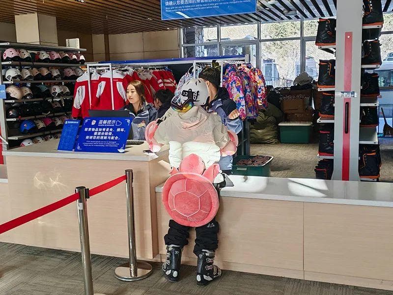 到东北滑雪去！雪场陆续“开板” ，“冷经济”释放“热动能”！