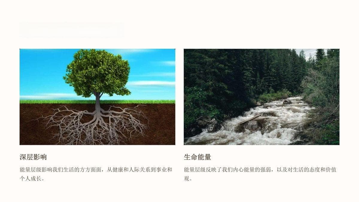 《霍金斯的能量层级》课件
