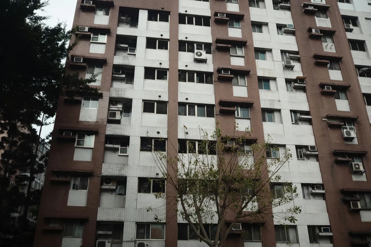 愚园路100周年：探访张爱玲的文学摇篮