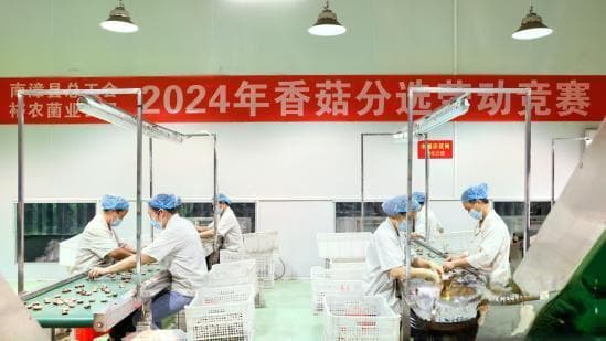 湖北南漳：产业引领绘就乡村振兴新画卷