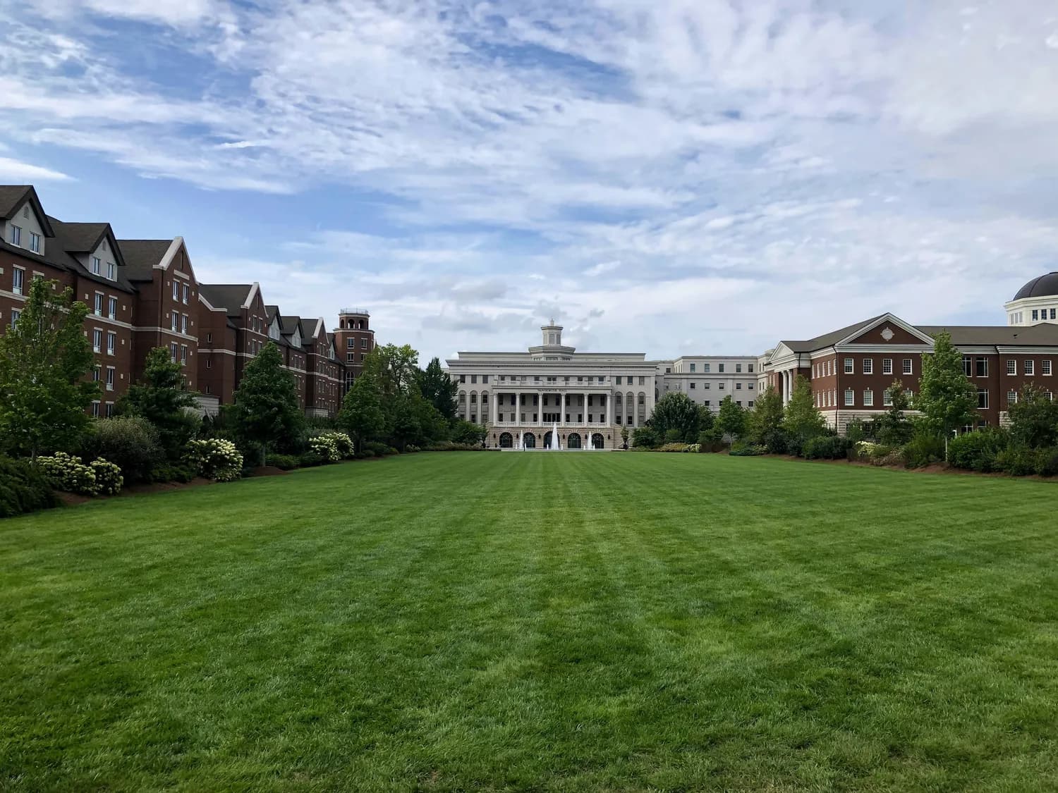 全国学校心理学周：康涅狄格大学的心理健康创新