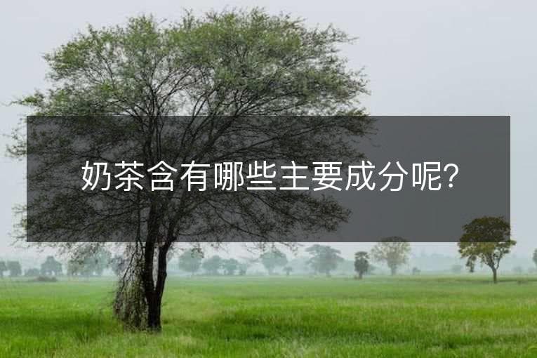 奶茶含有哪些主要成分呢？