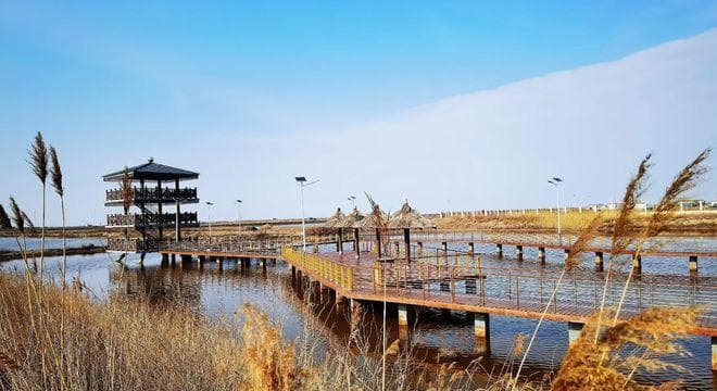 历经7000年岁月洗礼的美丽"项链"——探访黄骅古贝壳堤