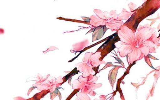 朱砂手链的功效与佩戴禁忌：从辟邪到安神的全方位指南