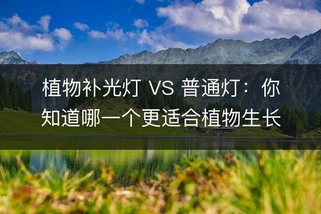 植物补光灯 VS 普通灯：你知道哪一个更适合植物生长吗？