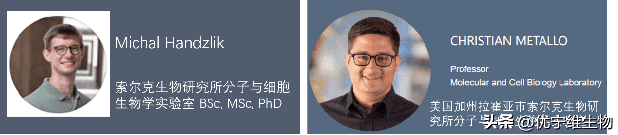 Nature最新研究：丝氨酸代谢与神经病变的关系