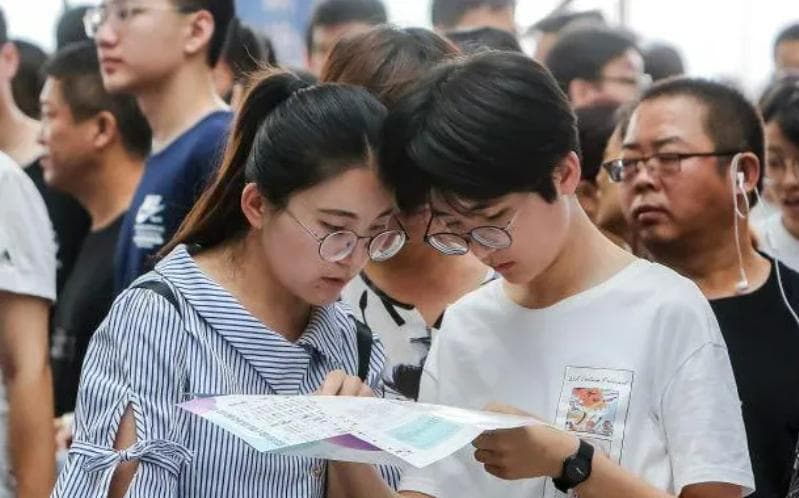 专科生未来该如何突围，在学历无优势的情况下，可以做这三种补充