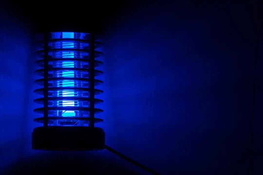 夏日驱蚊全攻略：8种实用家居驱蚊方法