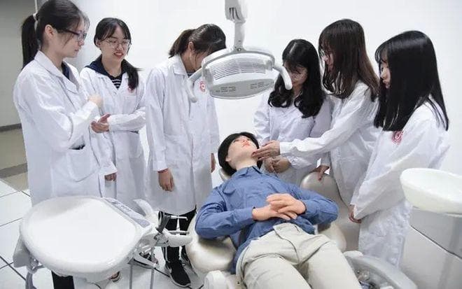 口腔解剖虚拟仿真系统：如何用3D建模+AI实现精准教学？