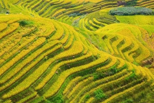 加榜梯田旅游攻略：最佳观赏位置、住宿选择与交通指南