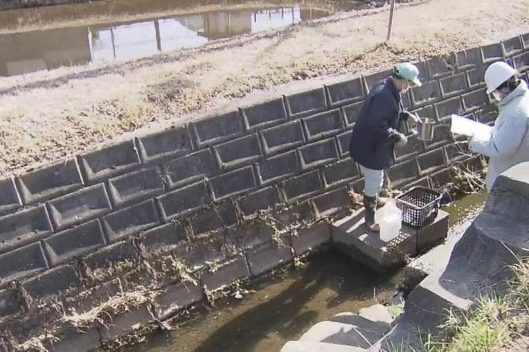 盗窃、性侵、污染水源！驻日美军恶行累累，民众为何束手无策？