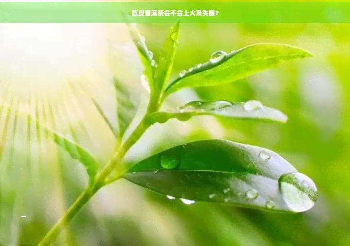 陈皮普洱茶会不会上火及失眠？