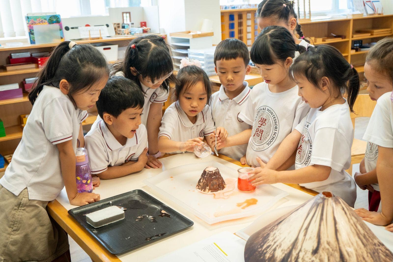 香港蒙特梭利国际学校：最正宗的蒙特梭利教育，沉浸式双语+愉快学习环境
