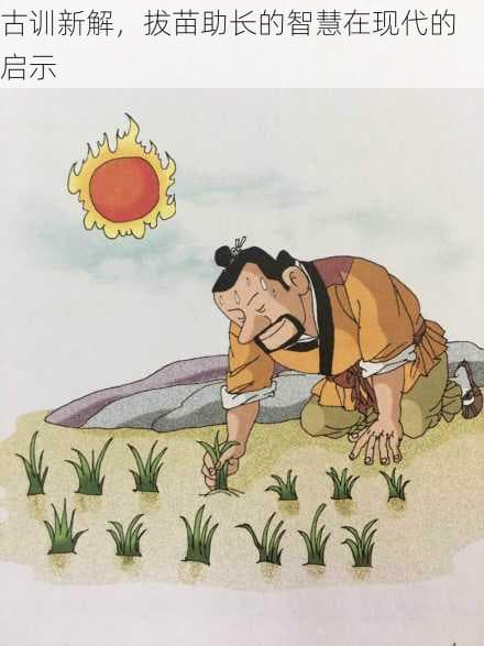 古训新解，拔苗助长的智慧在现代的启示