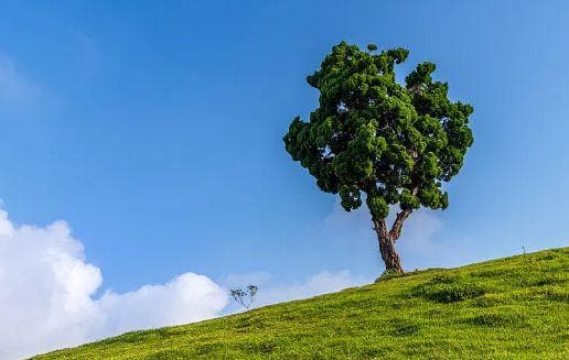 用10个生活小哲学，拾起被我们忽略的快乐