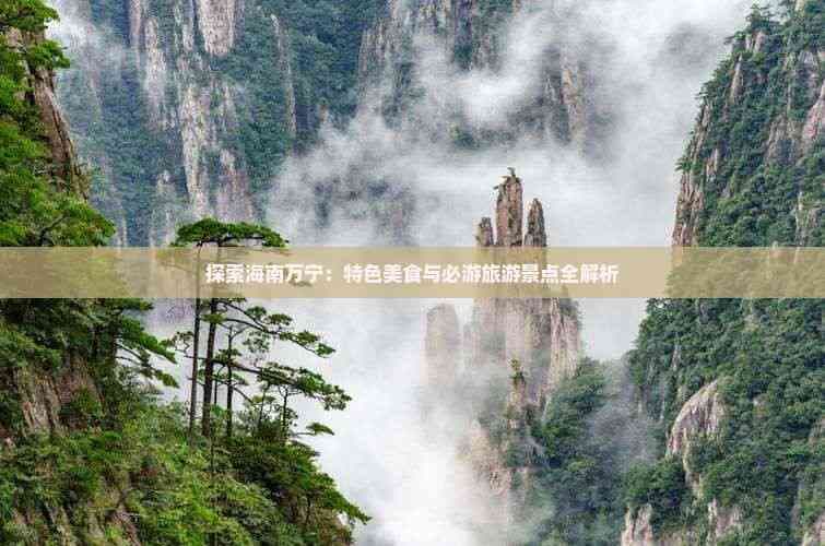 探索海南万宁：特色美食与必游旅游景点全解析