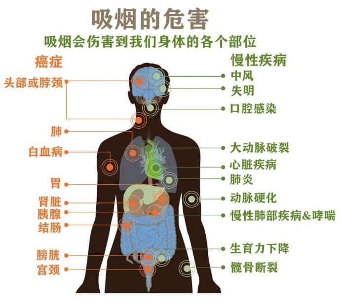 世界无烟日——远离烟草 保护肺部健康