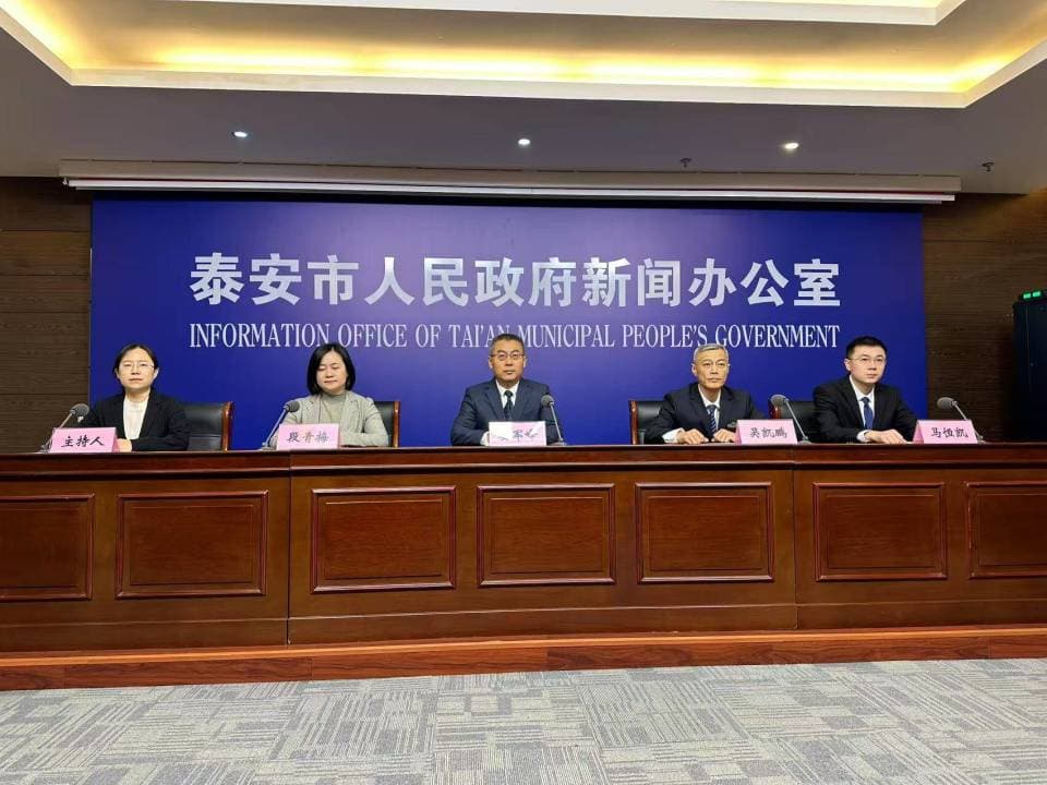 抗震加固+新技术应用 泰安市筑牢历史文化遗产安全防线