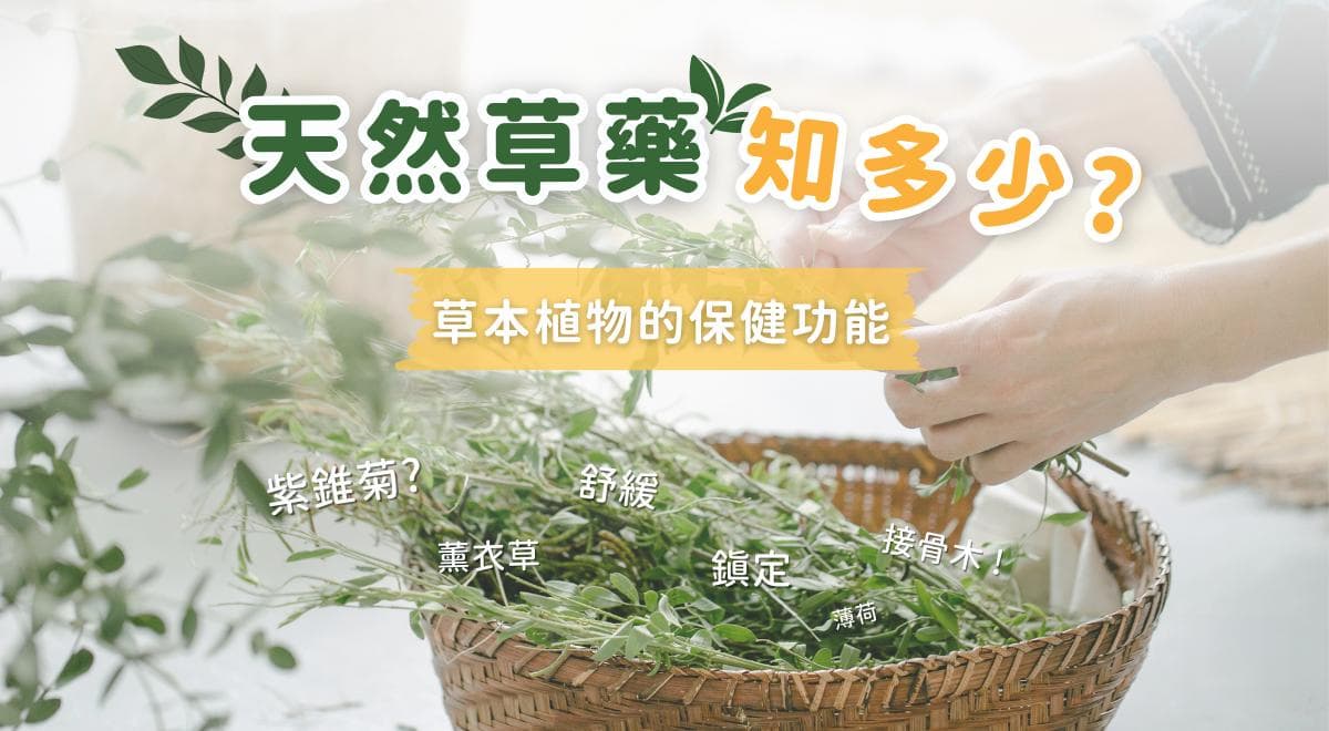 天然草藥知多少?草本植物的保健功能