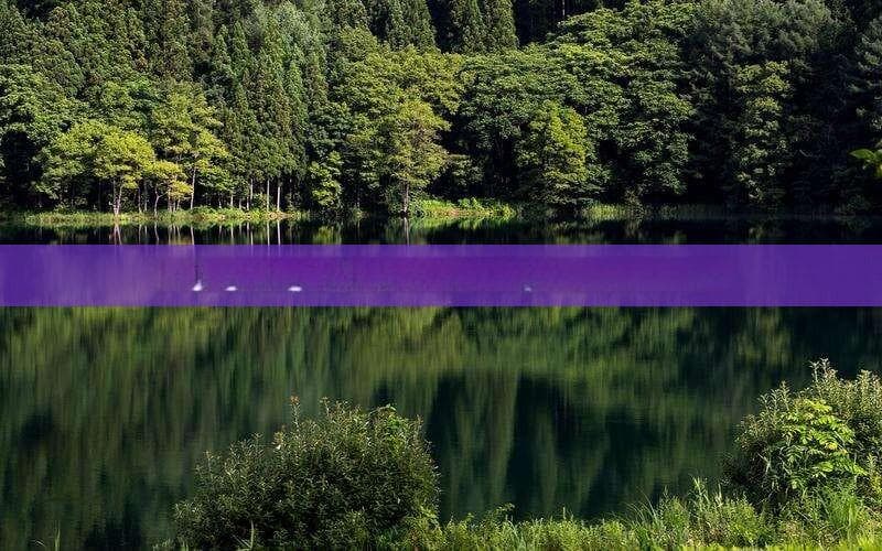 东北至四川自驾游攻略：穿越千山万水的壮丽旅程