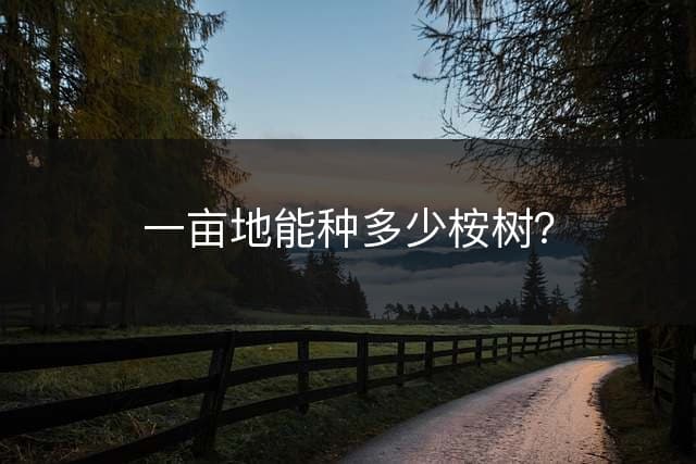 一亩地能种多少桉树？