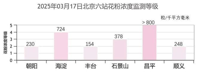 北京地区柏科杨柳科花粉陆续达到浓度高峰期