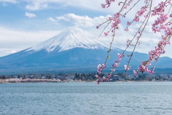 【富士山摄影指南】日本富士山拍摄指南（最佳拍摄地点、周边住宿）