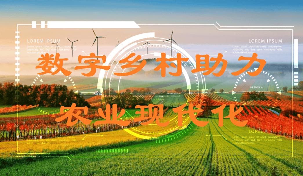 三农问题背景下的农业现代化与乡村发展路径探索