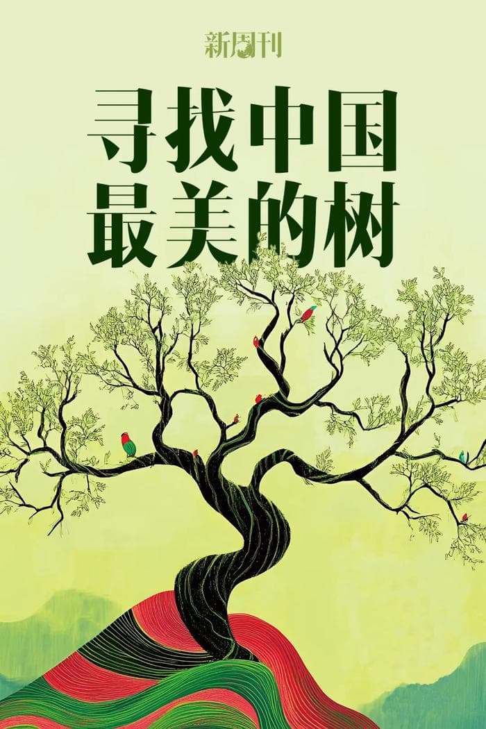 最能代表东北的一棵树，我提名它