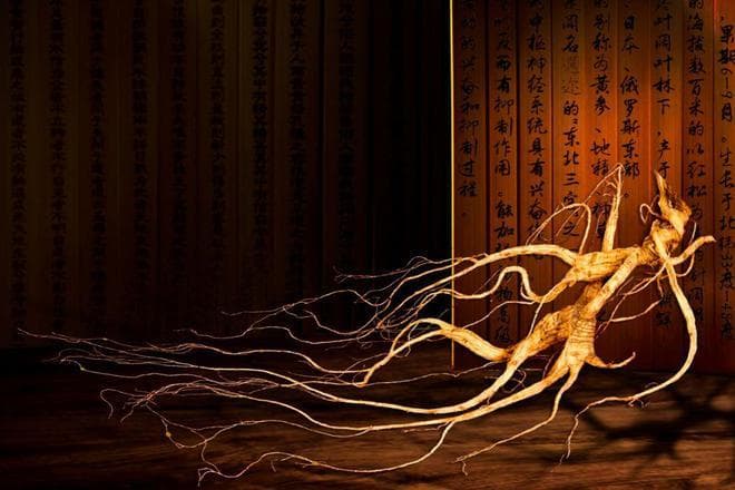 红参的营养组成与保健功效：深度了解红参