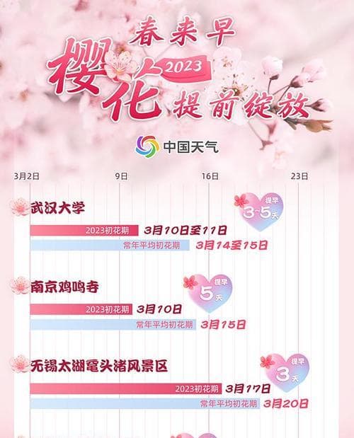 樱花在中国代表什么含义？