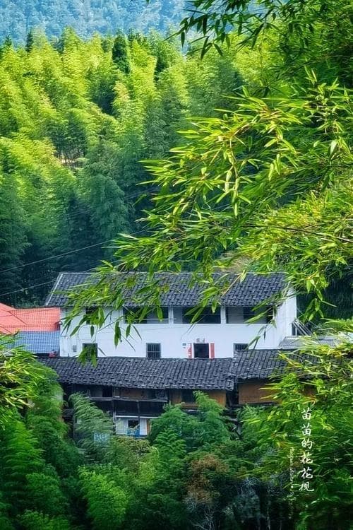 科学视角下的"宿命"论：概率与决定论的探讨