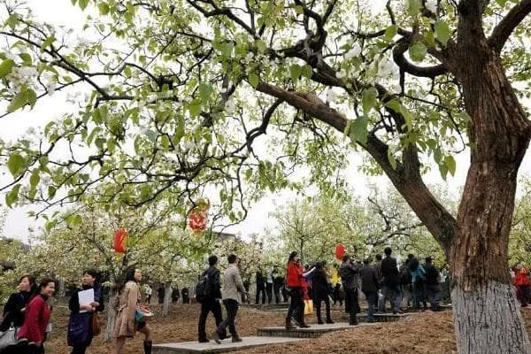 2025四川秋季自驾游玩路线推荐（附旅游景点攻略）