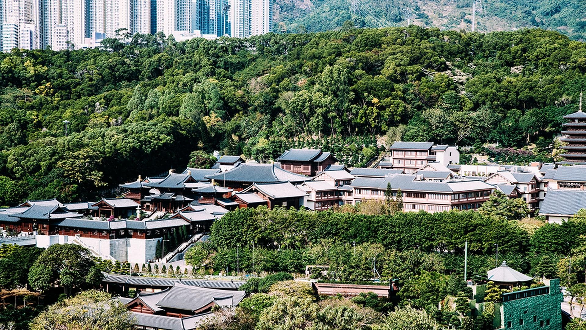 香港黄大仙区：从乡村到都市的百年变迁