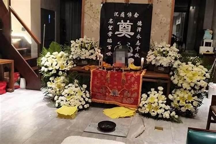 石太岁和土太岁：神秘生物的奥秘
