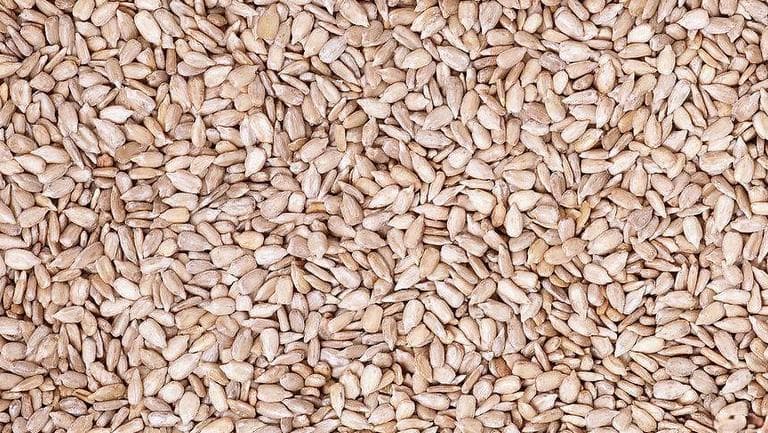 瓜子仁的功效与作用、禁忌和食用方法