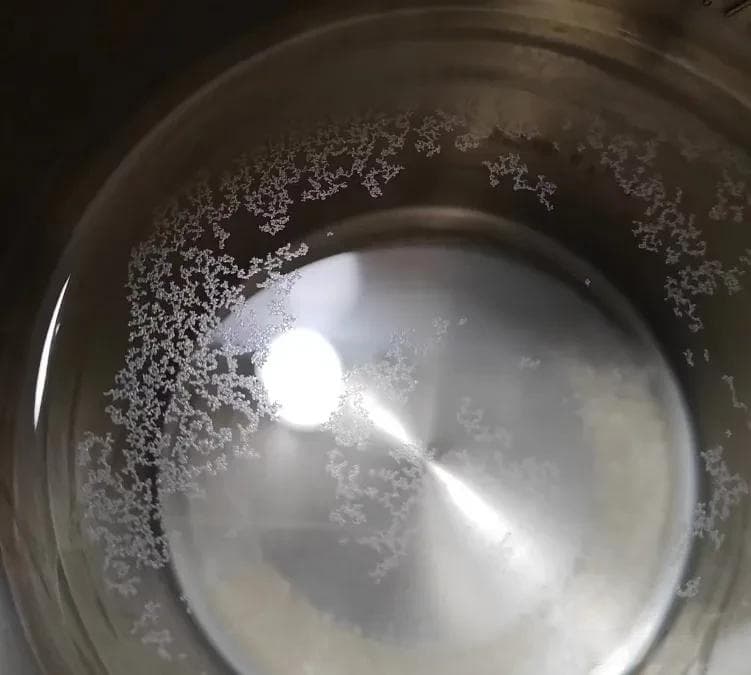 家里水垢严重，有哪些可以处理的净水设备？