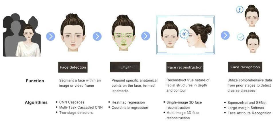 上海九院周慧芳团队Patterns综述：AI分析揭示人脸图像中蕴藏的健康密码