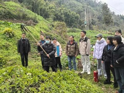 雨城区多措并举筑牢森林防火安全屏障